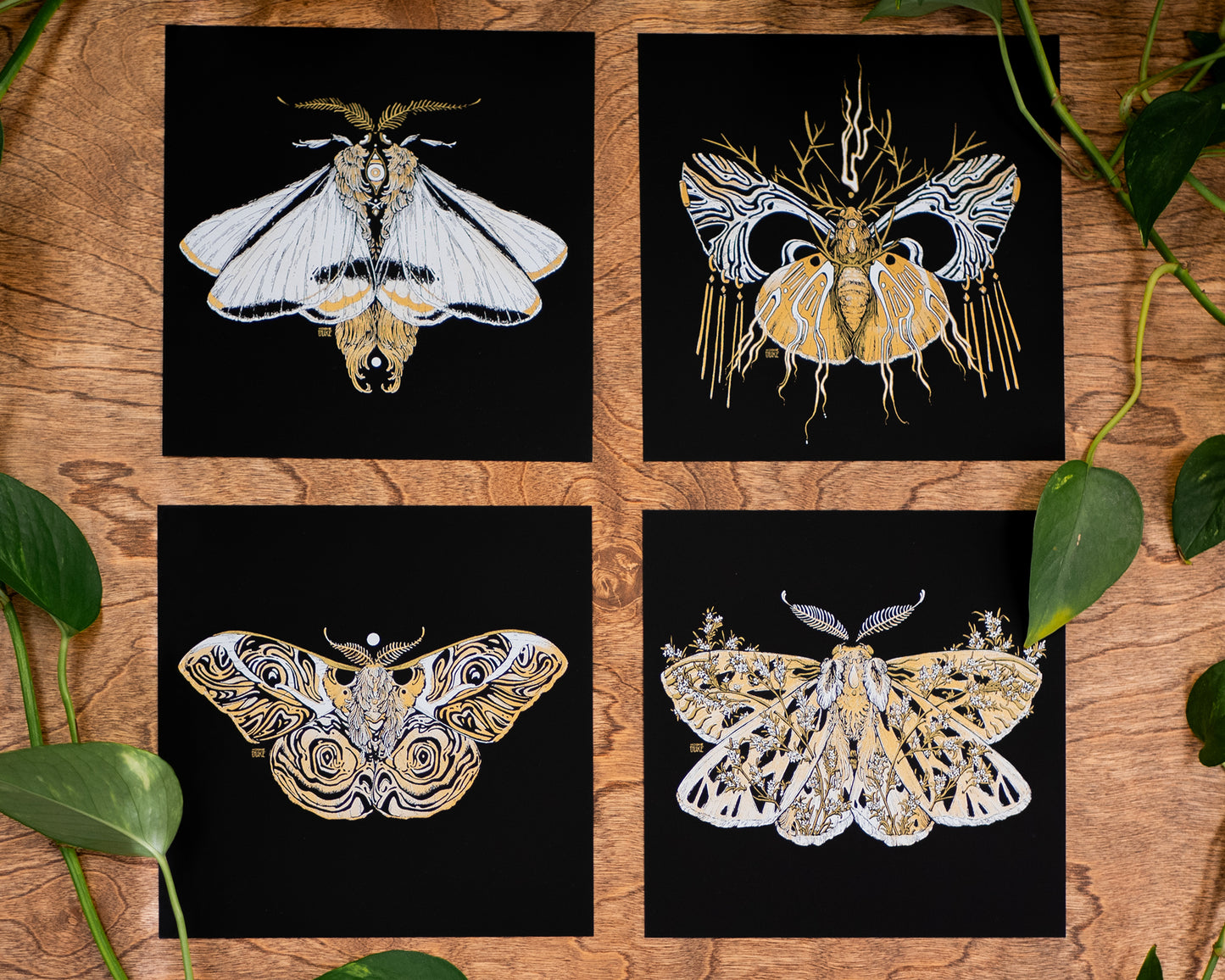 Moth Mini | Psyche