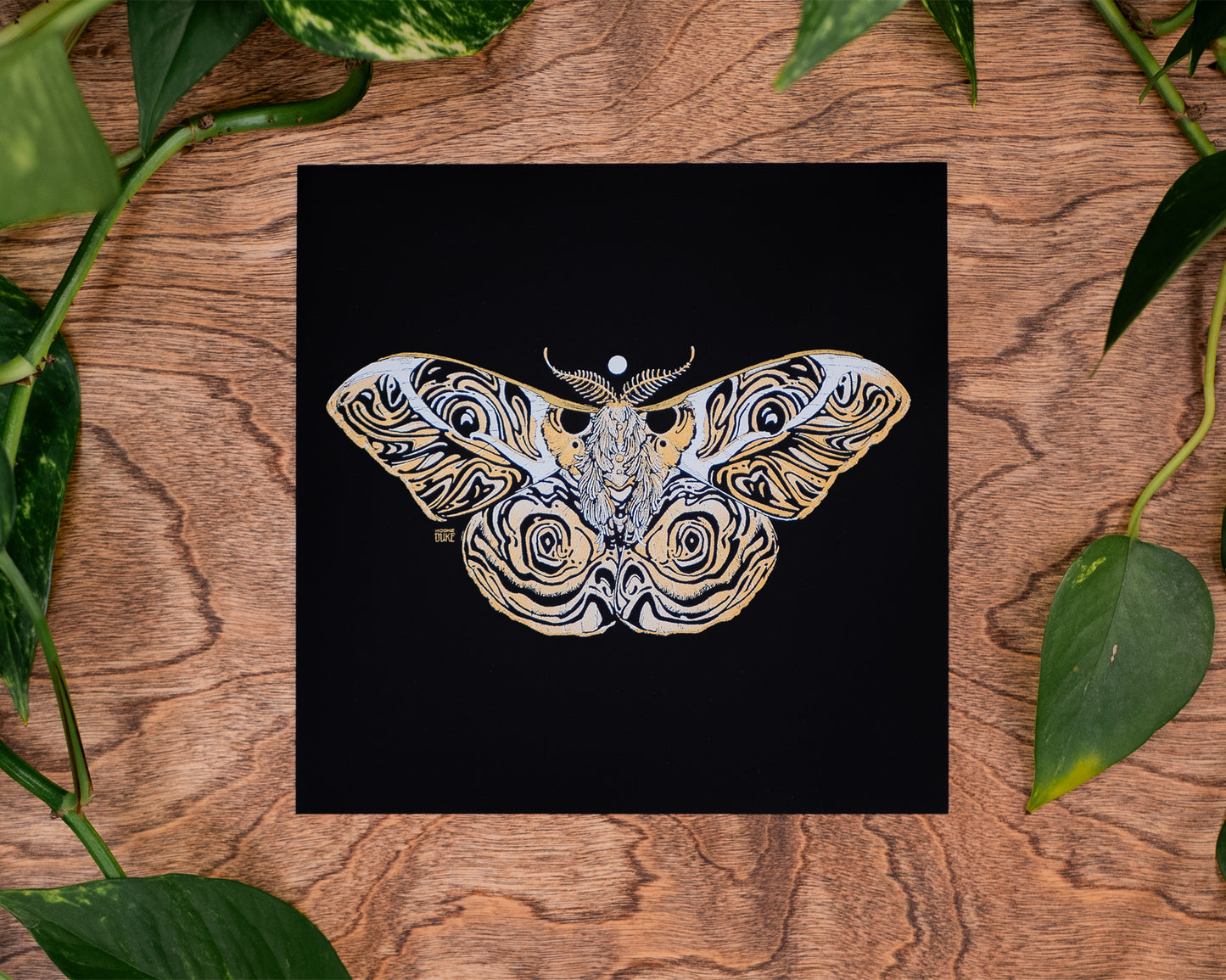 Moth Mini | Psyche