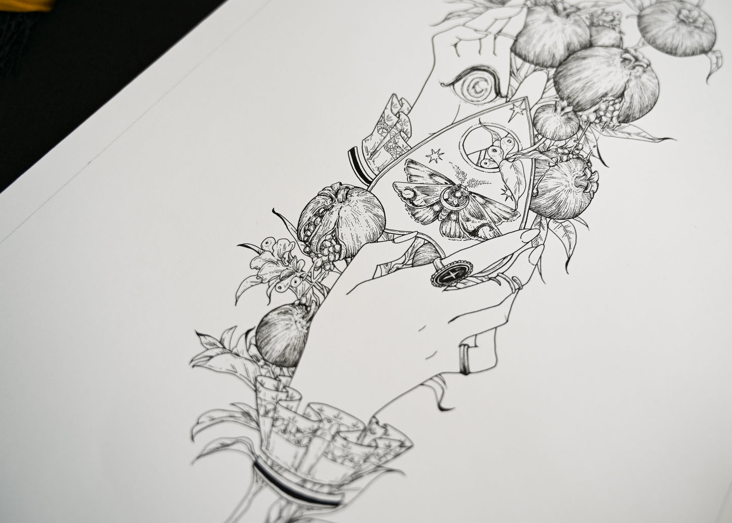 This upclose photo is from the bottom right corner. It is focused on the center of the illustration showing the detailed line work on the moth and the pomegranets.