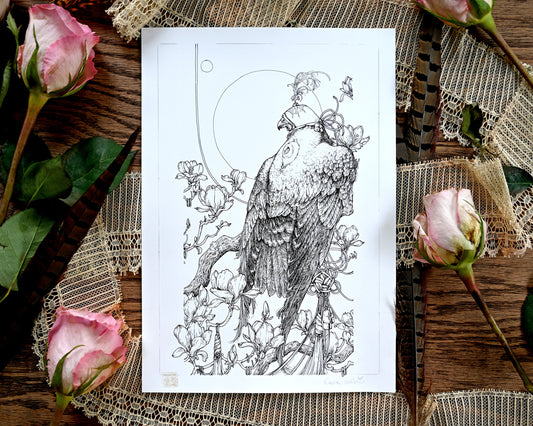 A photograph of an original ink drawing sitting on top of antique lace. There is also pink roses and phesant feathers on the table. You can see the full deatils of the illustration. The falcon is sitting on a blooming magnolia branch. There are knotted tassles hanging from the branches. The falcon is in front of a full moon and has a falconers hood on.