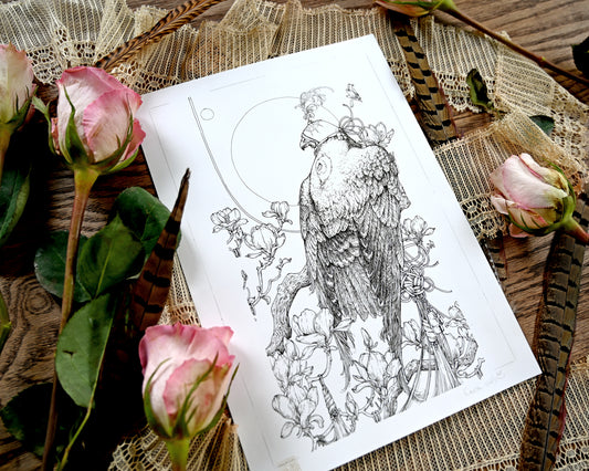 A photo of the same illustration but from the left. There is lace, roses, and phesant feathers. You can see the whole illustration clearly. 