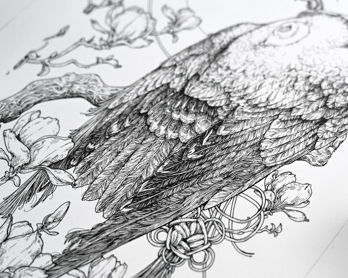 An up close shot of the illustration. The feathers are detailed and methodically redenered. You can see the details of one of the knotted tassles. 