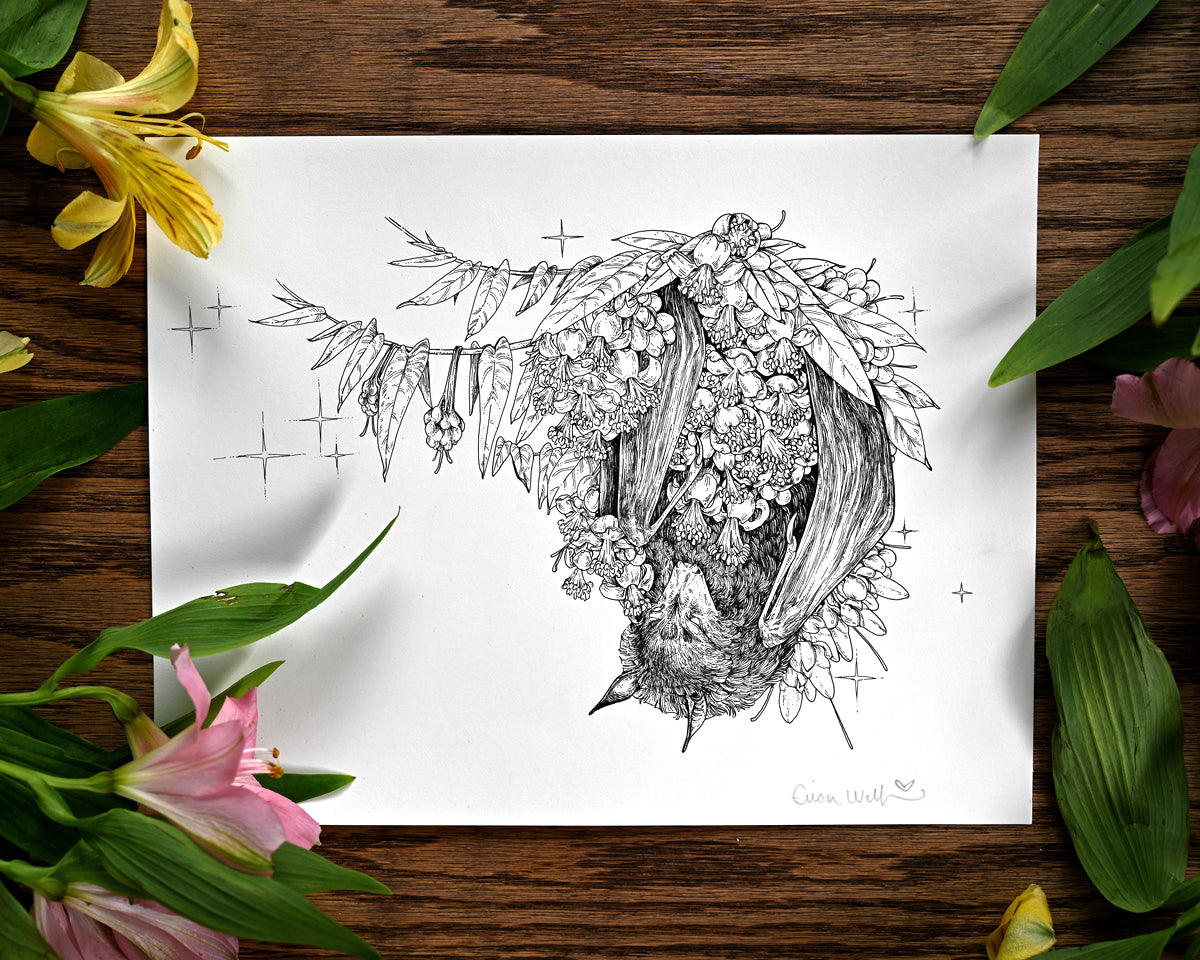 A photo of a original ink illustration on a table. The illustration is of a flying fox bat amongst durian flowers. There are also fresh flowers on the table. 